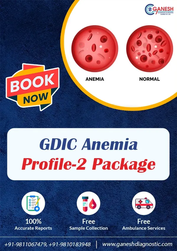 GDIC Anemia Profile-2 Package
